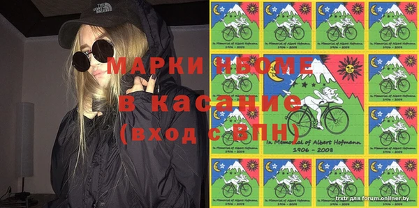 ешки Новодвинск