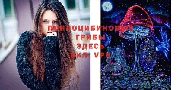 круглые Весьегонск