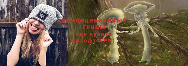 мяу мяу мука Новокубанск